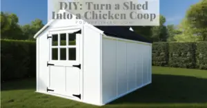 Storage Shed Chicken Coop