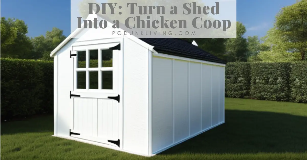 Storage Shed Chicken Coop