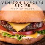Venison Burger Recipe