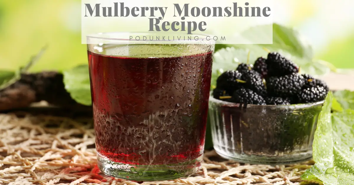Mulberry Wine