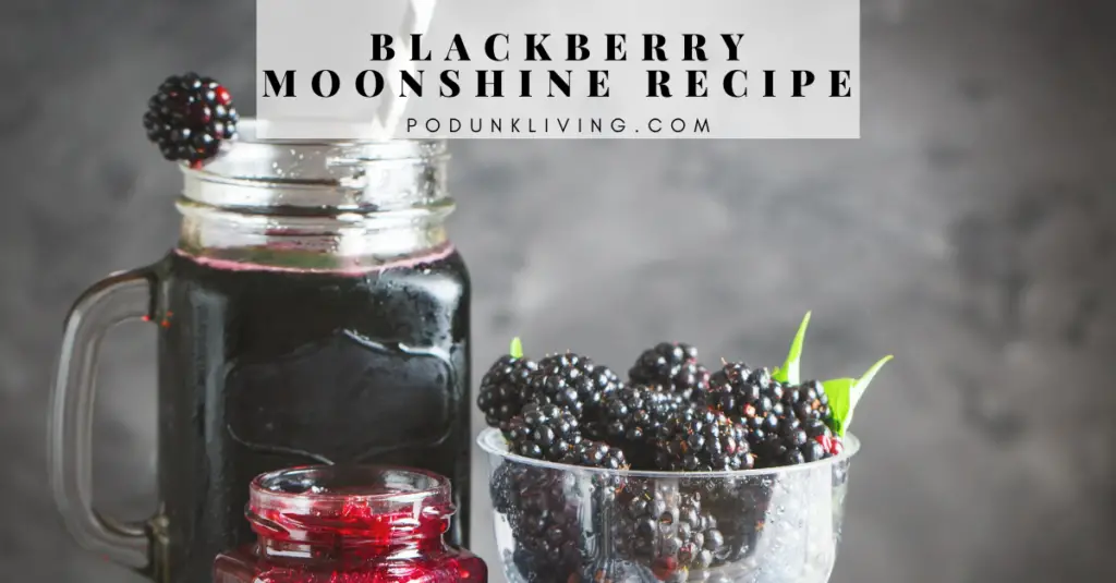 Blackberry Moonshine Recipe