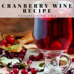 Best Cranberry Wine Recipe,Cranberry Wine Benefits,Cranberry Wine Alcohol Content,Cranberry Wine Taste,How to make cranberry wine