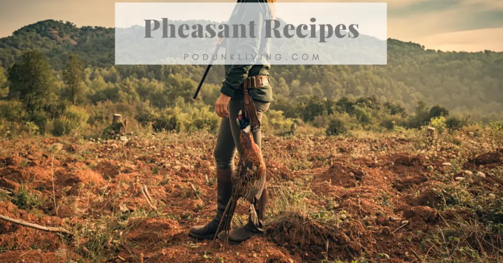 Pheasant Recipes