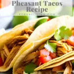 Pheasant Taco Recipe
