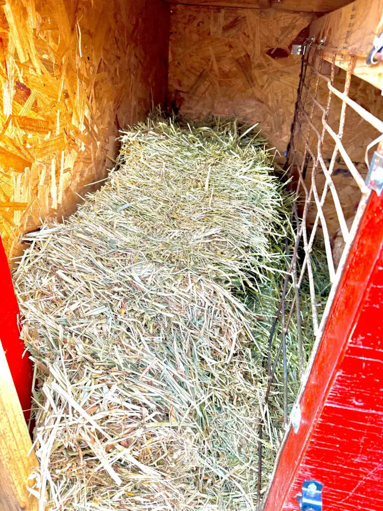 Minimal Waste Goat Hay Feeder