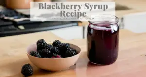 Blackberry Syrup Recipe