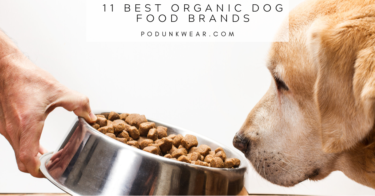 11 Best Organic Dog Food Brands