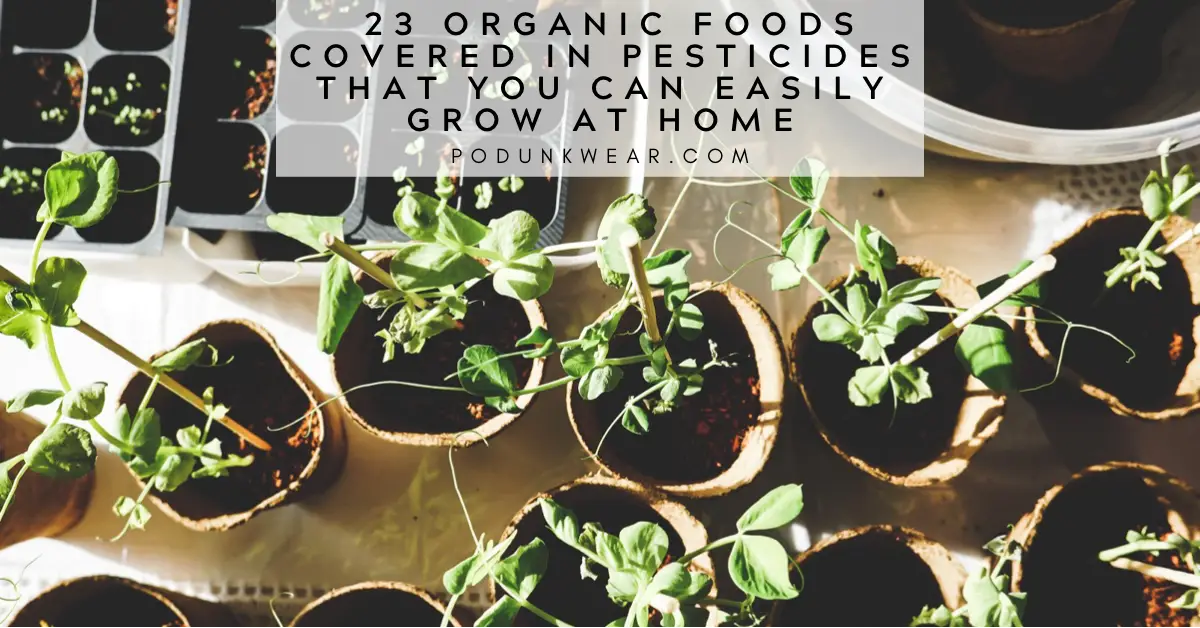 23 Organic Foods Covered in Pesticides That You Can Easily Grow at Home