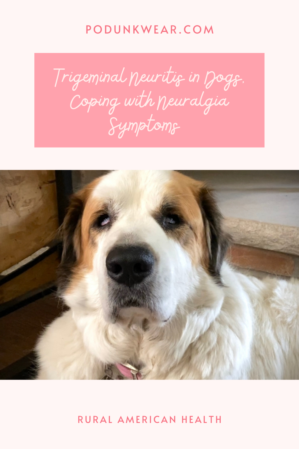 Trigeminal Neuritis in Dogs, Coping With Neuralgia Symptoms