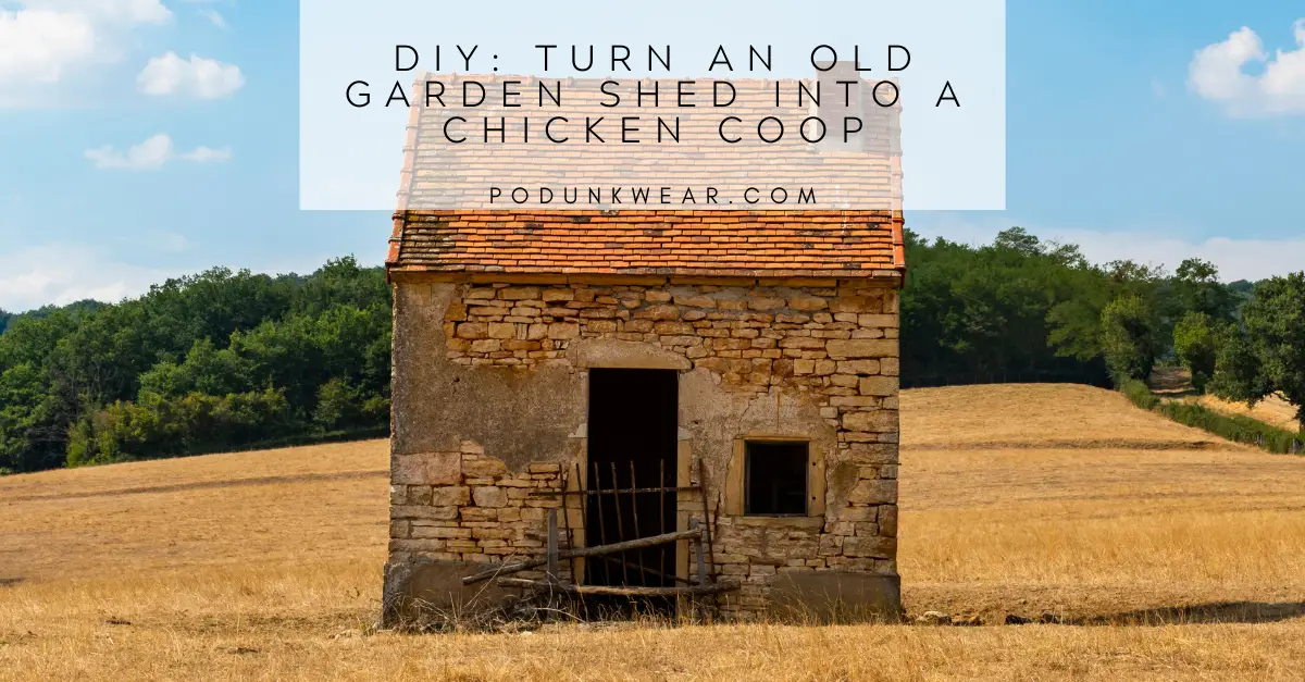 DIY Chicken Coop: Repurpose An Old Shed Into a Chicken Coop