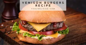 Venison Burger Recipe
