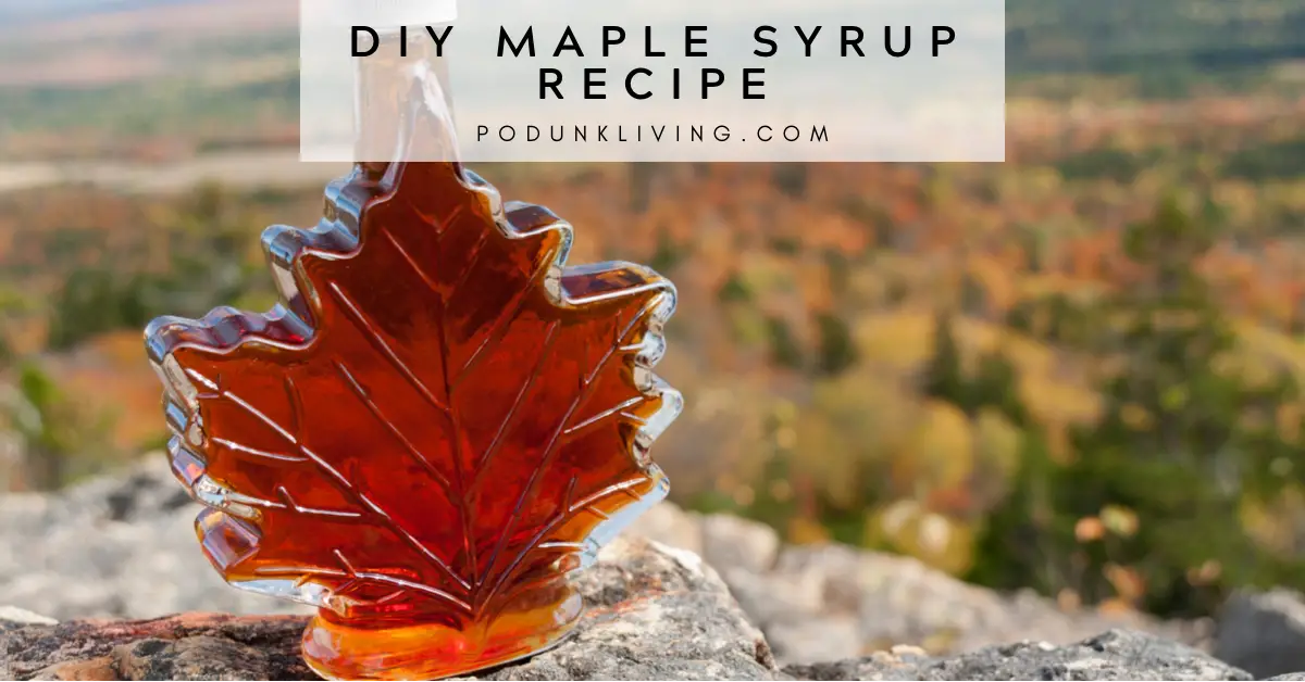 DIY Maple Syrup from Maple Sap