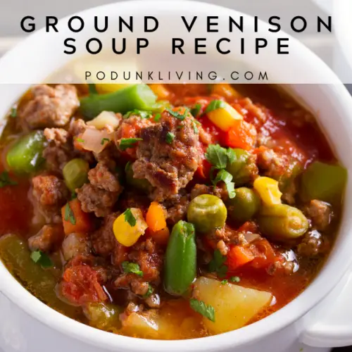 Ground Venison Soup