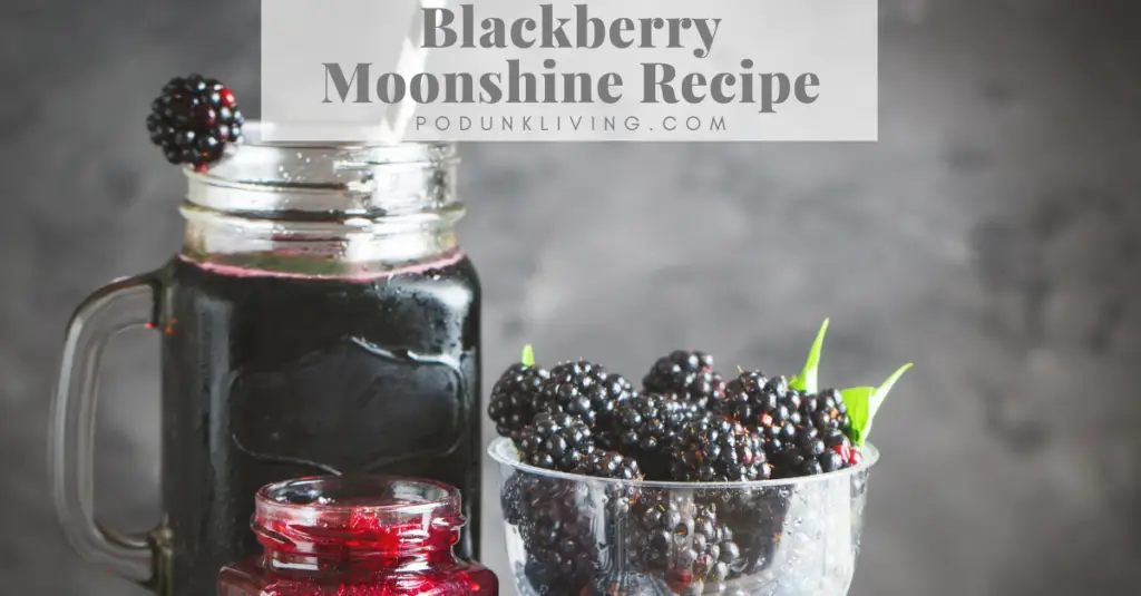 Blackberry Wine Recipe