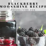 Blackberry Moonshine Recipe