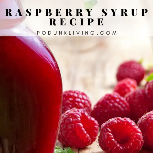 Raspberry Syrup Recipe