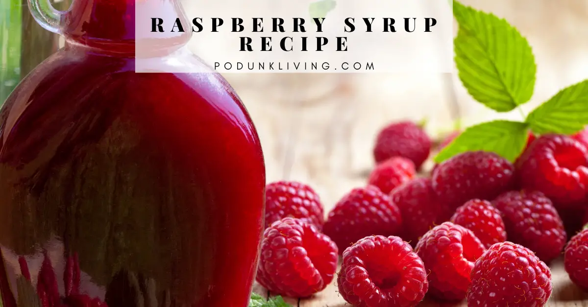 Homemade Raspberry Syrup Recipe