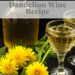 Dandelion Moonshine Recipe