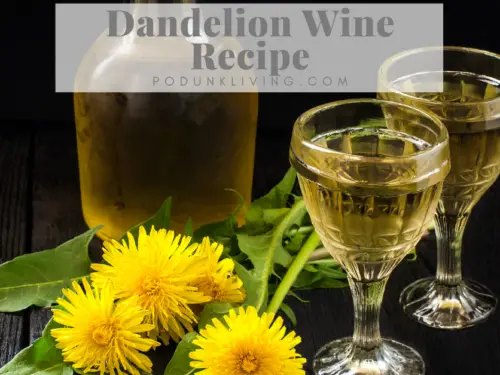 Dandelion Wine OFFICIAL (lyric video) HD - YouTube