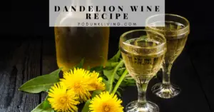 Dandelion Recipes