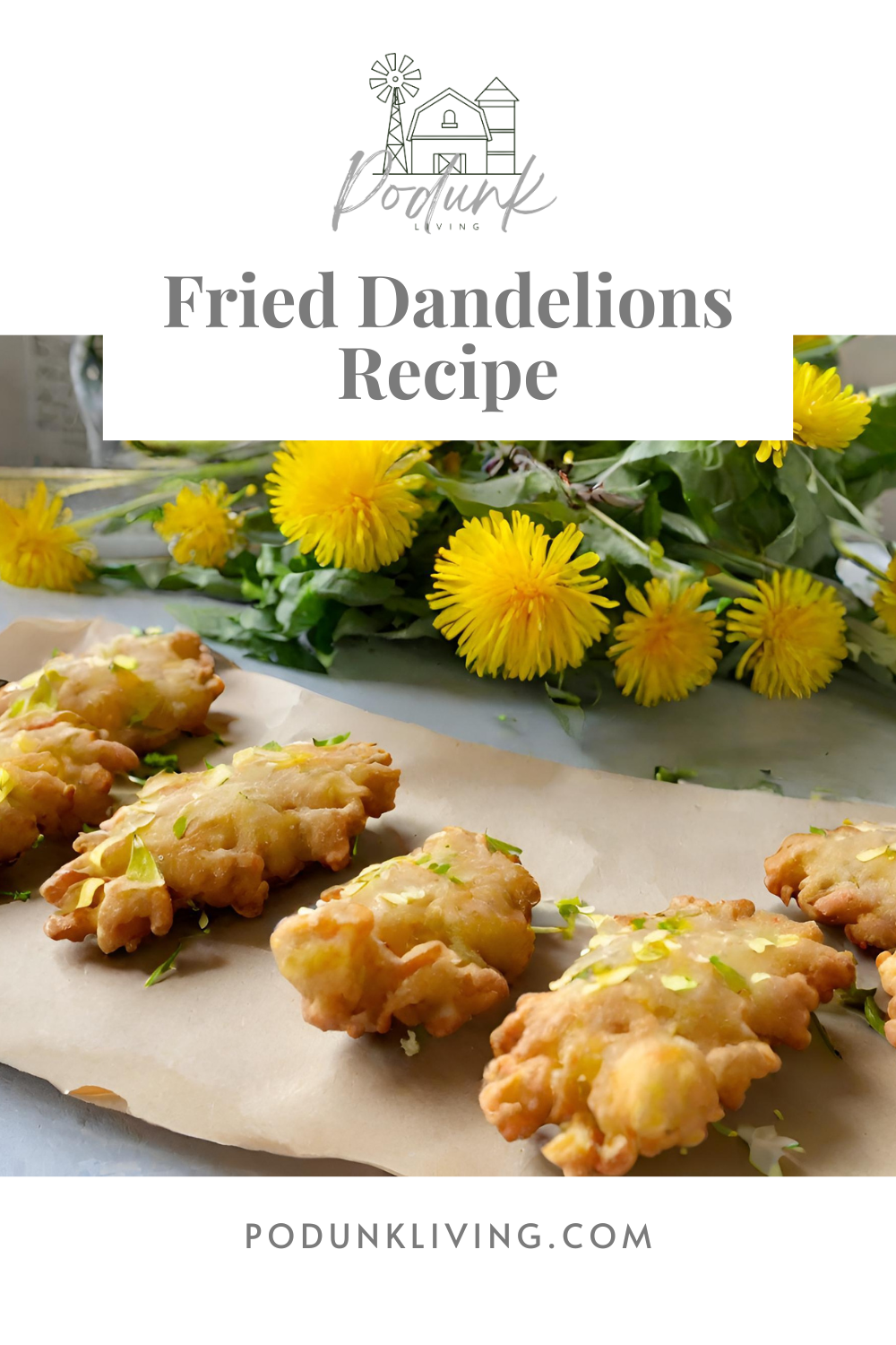Fried Dandelions Podunk Living