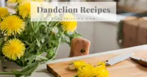 Dandelion Recipe
