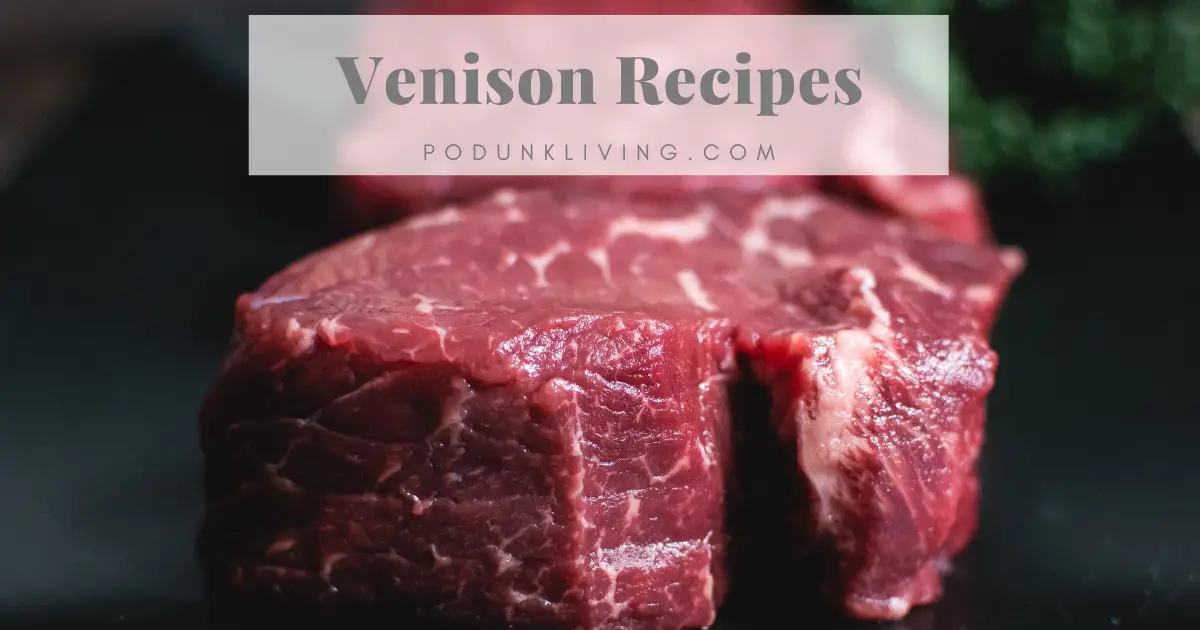 Venison Recipes