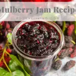 Mulberry Jam